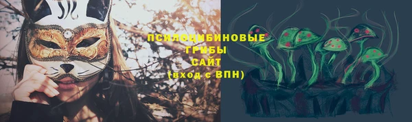 шишки Михайловка