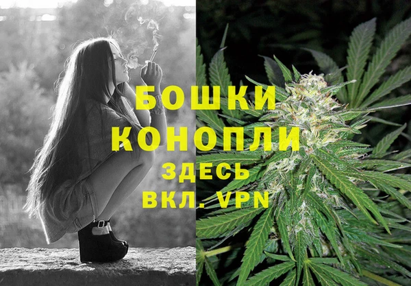 каннабис Белокуриха