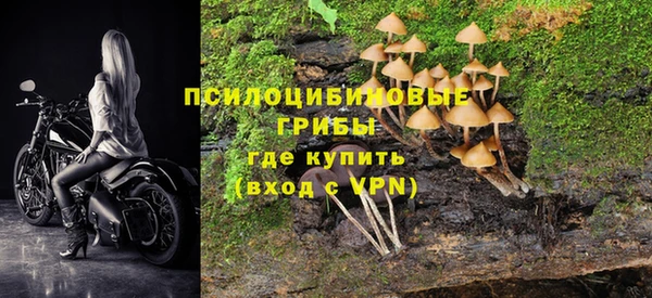 каннабис Белокуриха