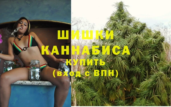 каннабис Белокуриха