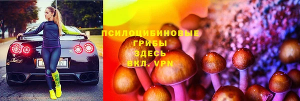 ешки Михайлов